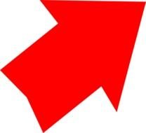 Red Arrow Up N2