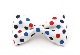 photo of a white bow tie with colorful polka dots