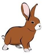 brown rabbit as an illustration