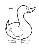 Duck as picture for clipart