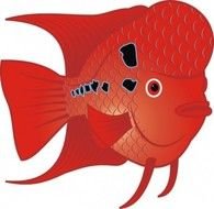 Red Fish Clip Art N7
