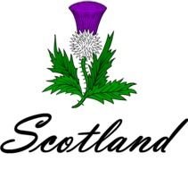 Scottish Thistle Design