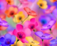 Flowers Desktop drawing