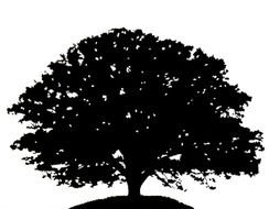 painted black old oak