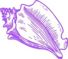 Conch Shell Clip Art N3