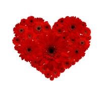 Am 14 Februar Ist Valentinstag