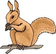 Squirrel Clip Art N14