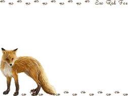 Red Fox Clip Art N8