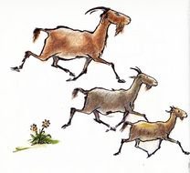 drawn running goats