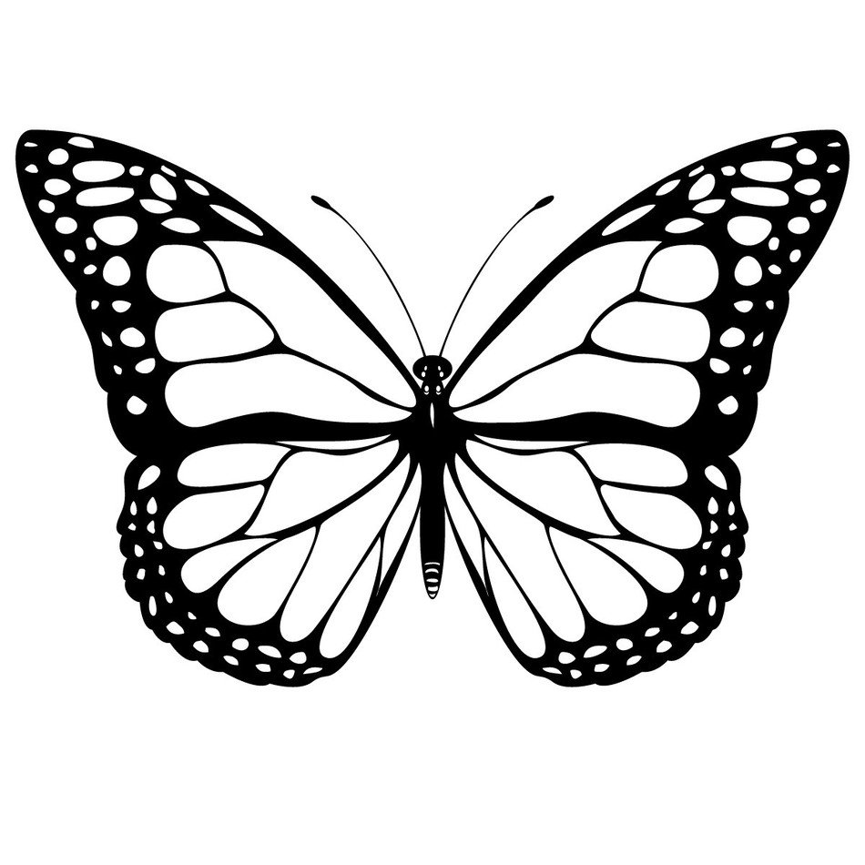 Monarch Butterfly Coloring Page N3
