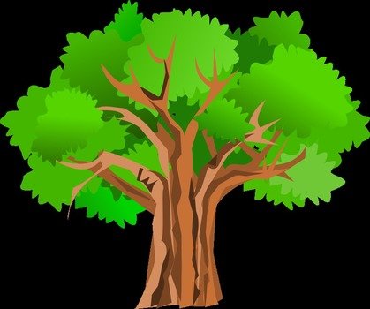 Family Tree Clip Art N21
