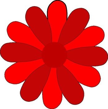 Black And Red Gerber Daisy