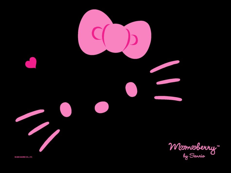 kitty in the dark