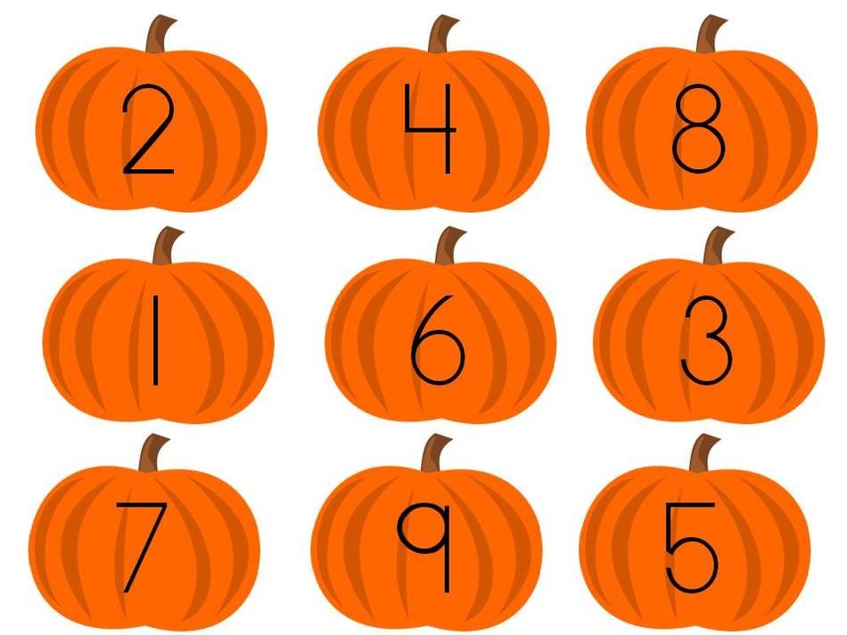 numbers on pumpkins for math