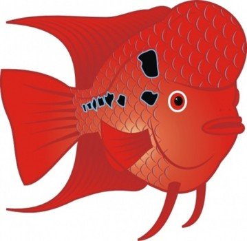 Red Fish Clip Art N7