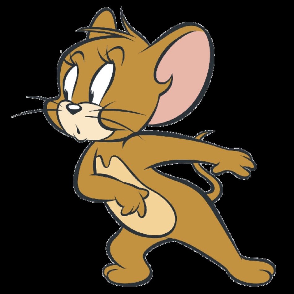 Tom And Jerry Character