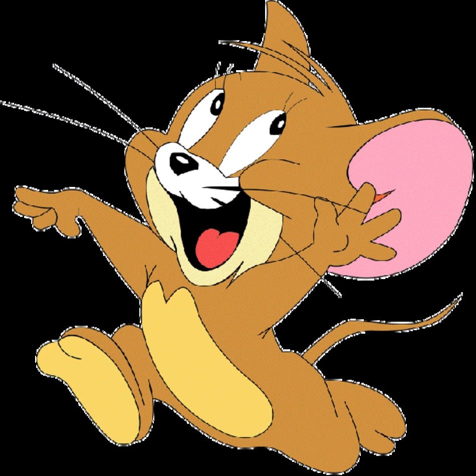 Tom And Jerry Cartoon