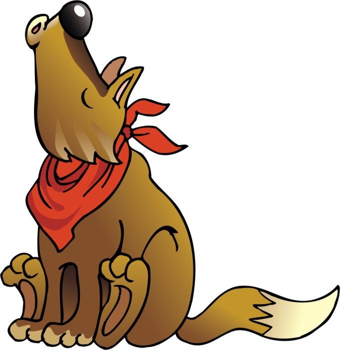 Coyote as picture for clipart