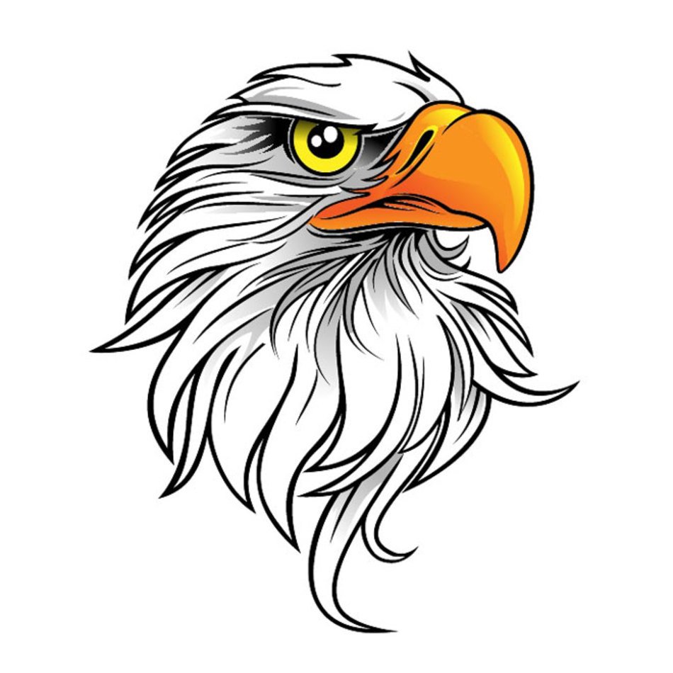Eagle Vector Clip Art N2