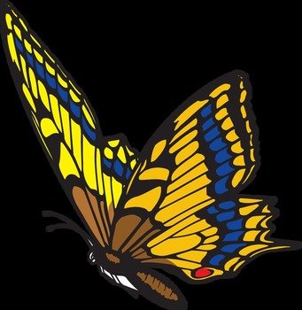 Butterfly Clip Art N50