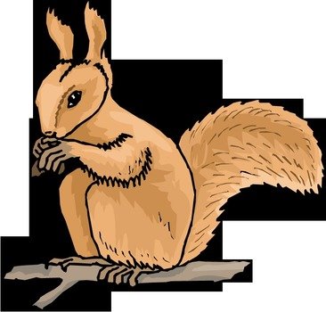 Squirrel Clip Art N14