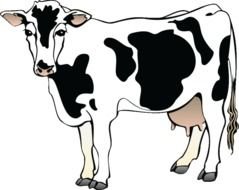 Cow Cartoon Clip Art N30