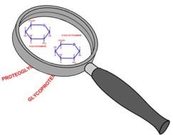Acids And Bases Clip Art