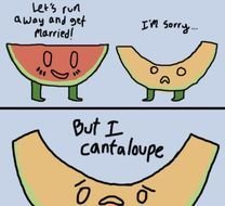 Funny Puns N2