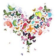 heart of butterflies of different colors