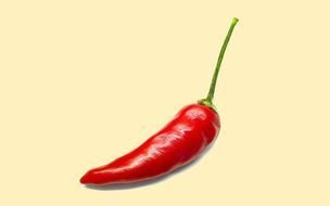 red Chili Pepper Border drawing