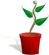 green in pot drawing