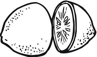 Lemon Coloring Page darwing