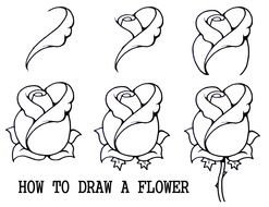 rose drawing class