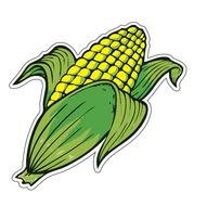 ripe corn as a graphic image