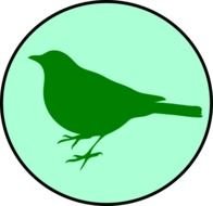 Bird Clip Art N51