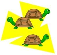 Turtle Clip Art N20