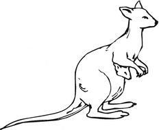 Kangaroo Coloring Pages