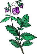 Plant Clip Art N26