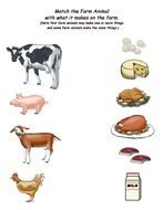 Farm Animal Activities