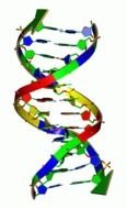 Double DNA Structure clipart