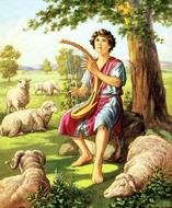 David Bible