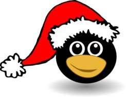 penguin head in santa claus hat