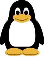 cute cartoon Penguin with yellow feet and beak