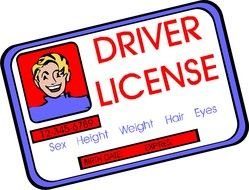 cartoon driving licence
