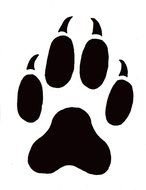 Cat Paw Print Stencil drawing