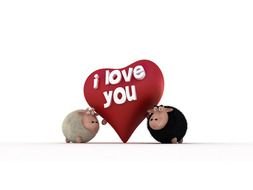 love declaration with cute sheep