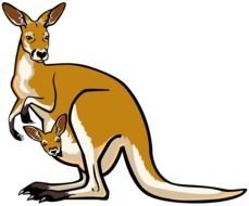 Kangaroo Clip Art N4