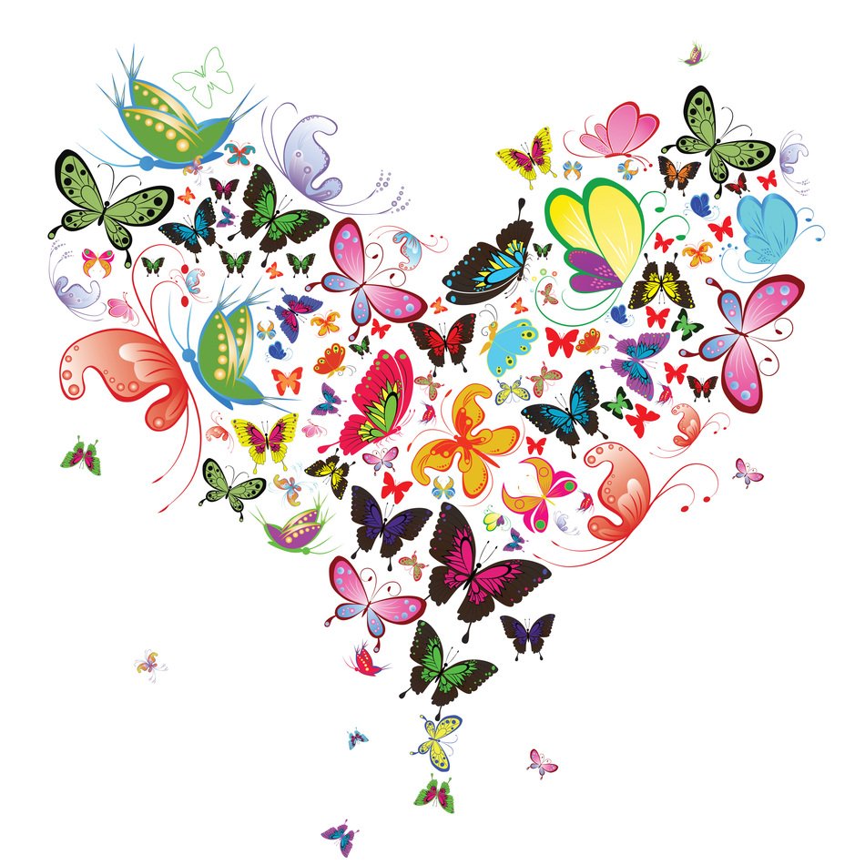 heart of butterflies of different colors