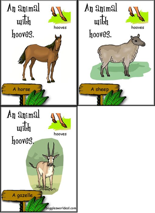 Animal Body Parts