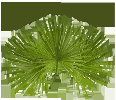 Palm Sunday Clip Art N21